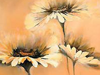 Apricot summer I