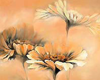 Apricot summer II
