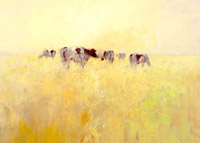 Cows in spring