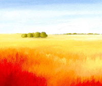 Red field II