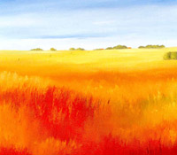 Red field I