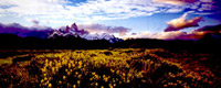 Fitz roy,parque national los glaciares,argentina