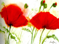 Coquelicots au vent II