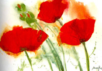 Coquelicots au vent I