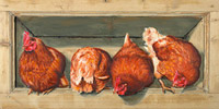 Henhouse
