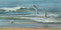 Three terns