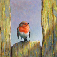 Robin