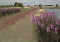 fireweed at brandemeer 50x70