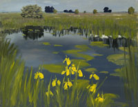 Yellow flag at brandemeer 50x70