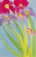 6 irises