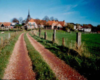 Niehove