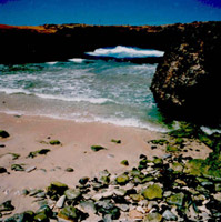 Aruba, natural brigde