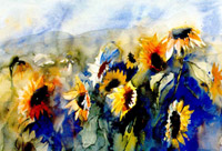 Sunflower field