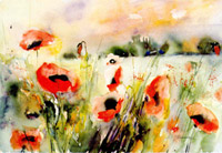 Poppies field