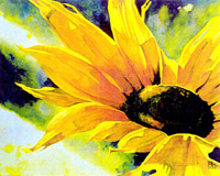 Sonnenblume I