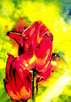 Tulpen II