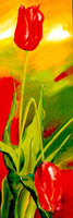 Zwei tulpen