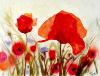 Tuscany poppies III