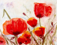 Tuscany poppies IV