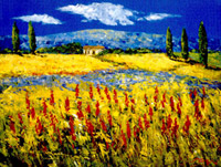 Toscana feld