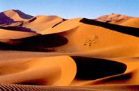 Namibia desert