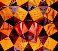 Cinquenta imagenes abstractas