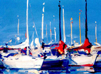 The regatta