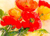 Splendid poppies