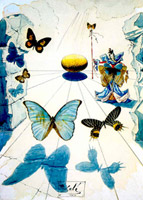 Butterflies