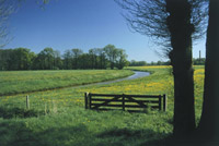 Schoorsteen in landschap