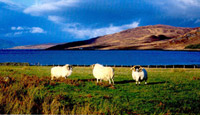 Isle of skye scotland