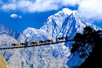 Pont auspendu au dessous de kali gandaki