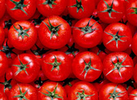 Pomodori