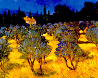  Olive grove chianti    