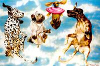 Flying dogs