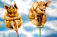 Pogo pigs