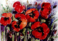 Poppies